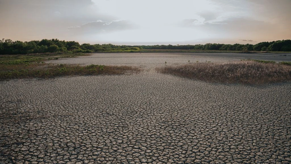 Cracked marshland at dawn in Doñana National Park, with a farmer at the edge of an irrigation channel.